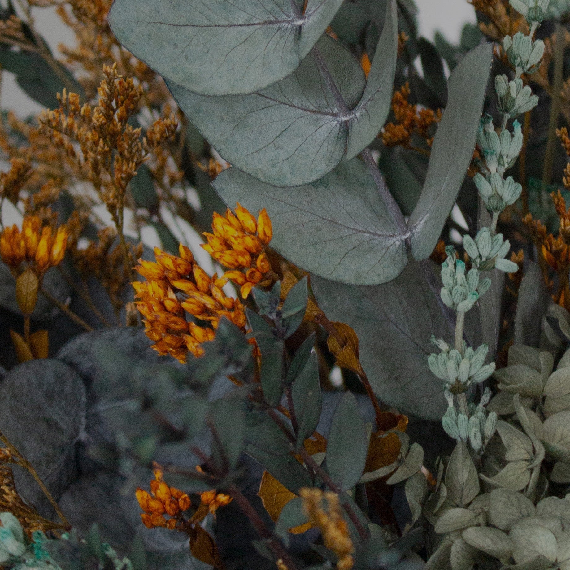 Et blomstrende hjem med færre udgifter