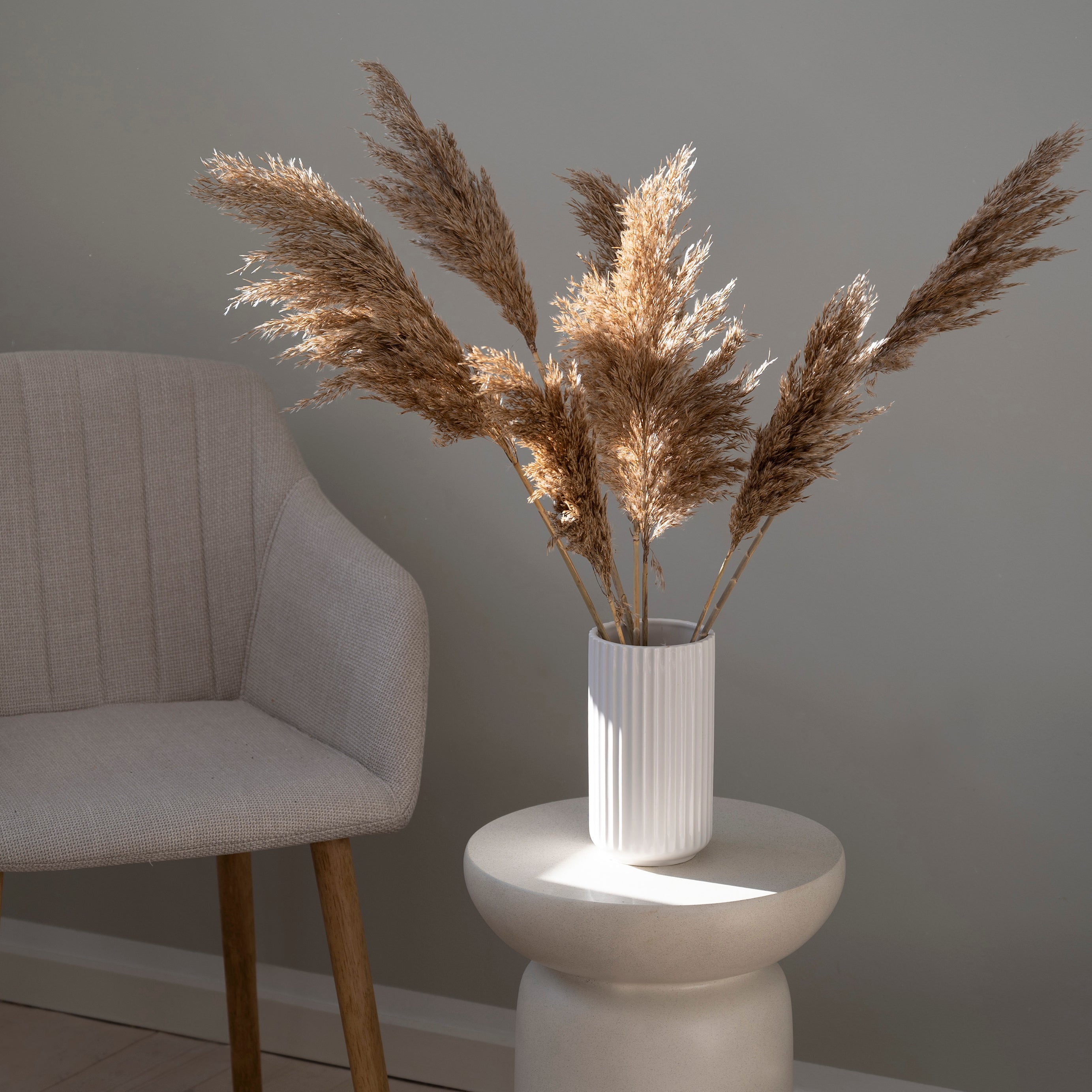 Pampas grene