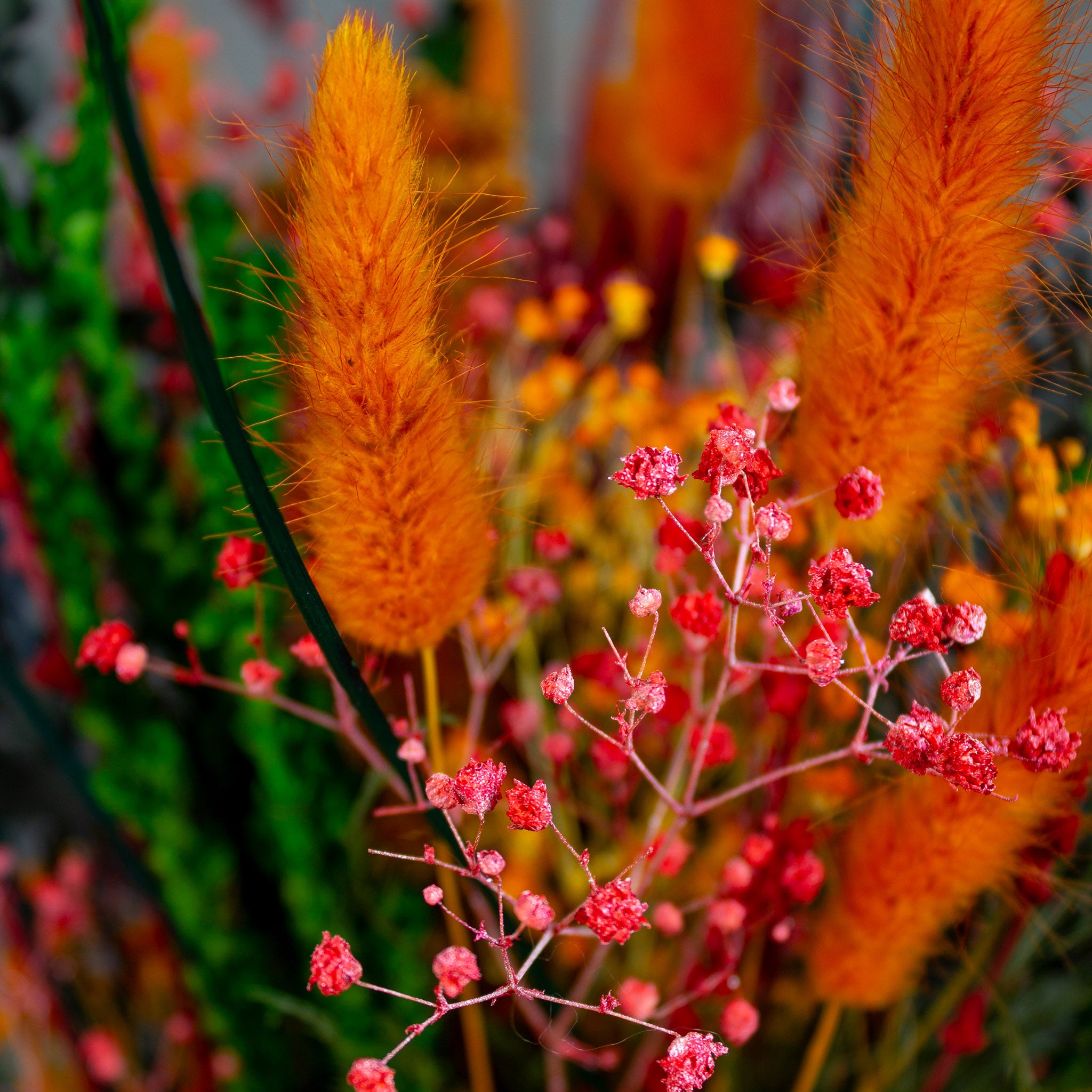 Nærbillede af en buket med klare røde og orange nuancer.