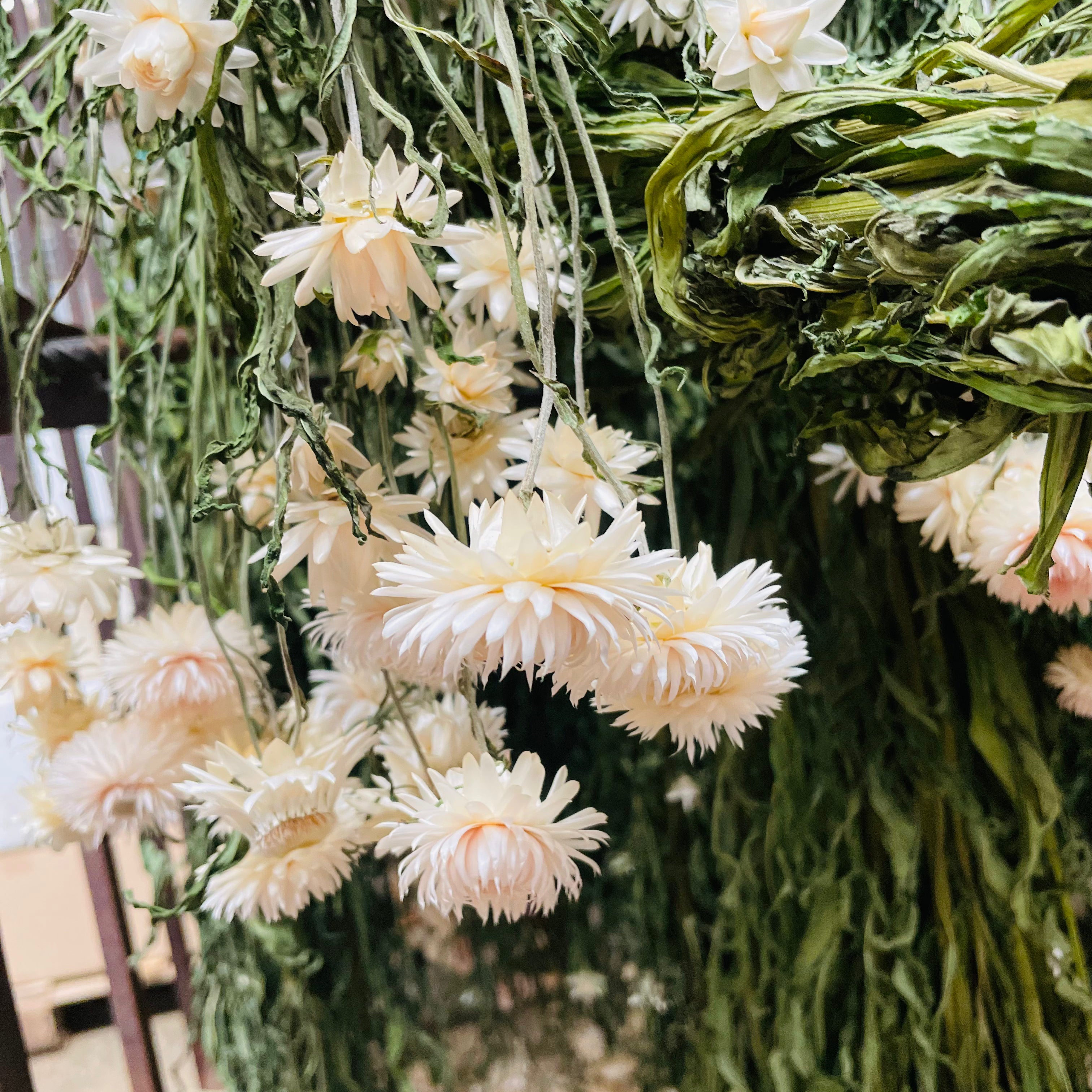 Nærbillede af blomster, der hænger med hovederne nedad til tørring.