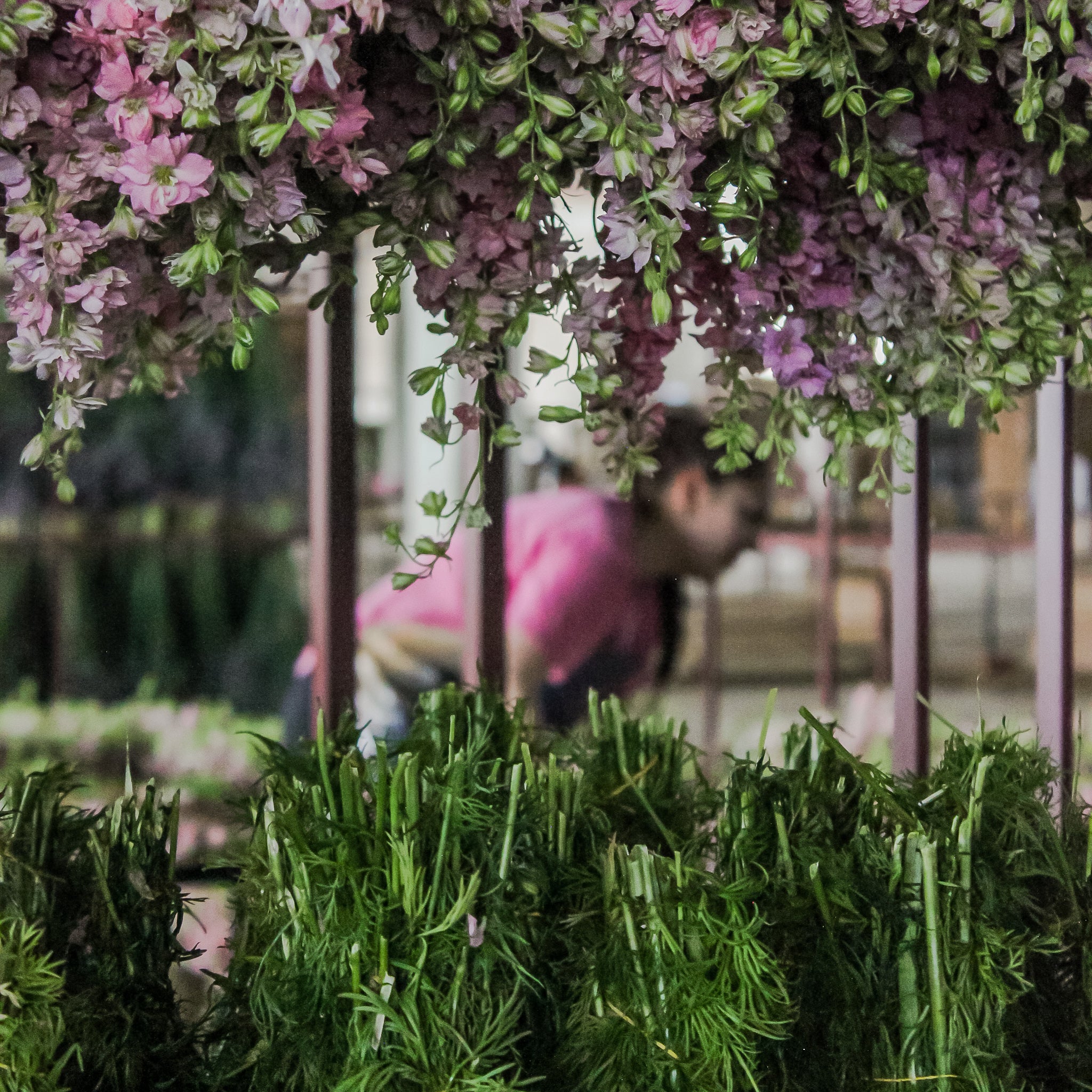 Tørringsproces af blomster, der hænger på hovedet på et stativ