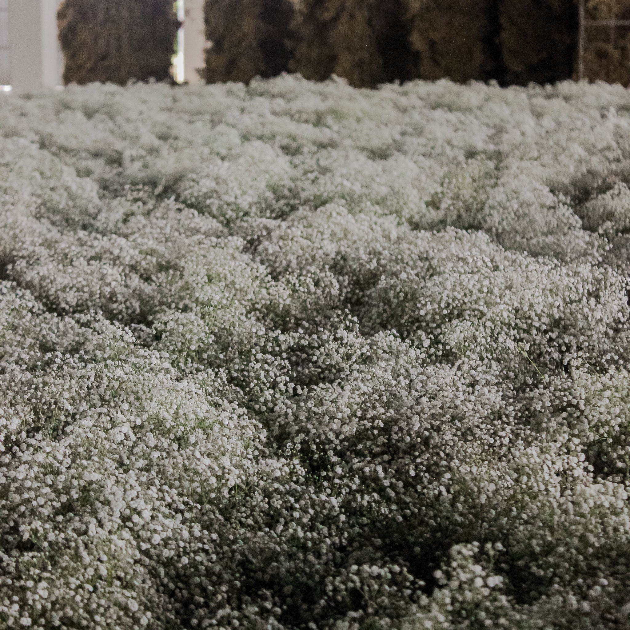 Nærbillede af brudeslør i et lagerlokale