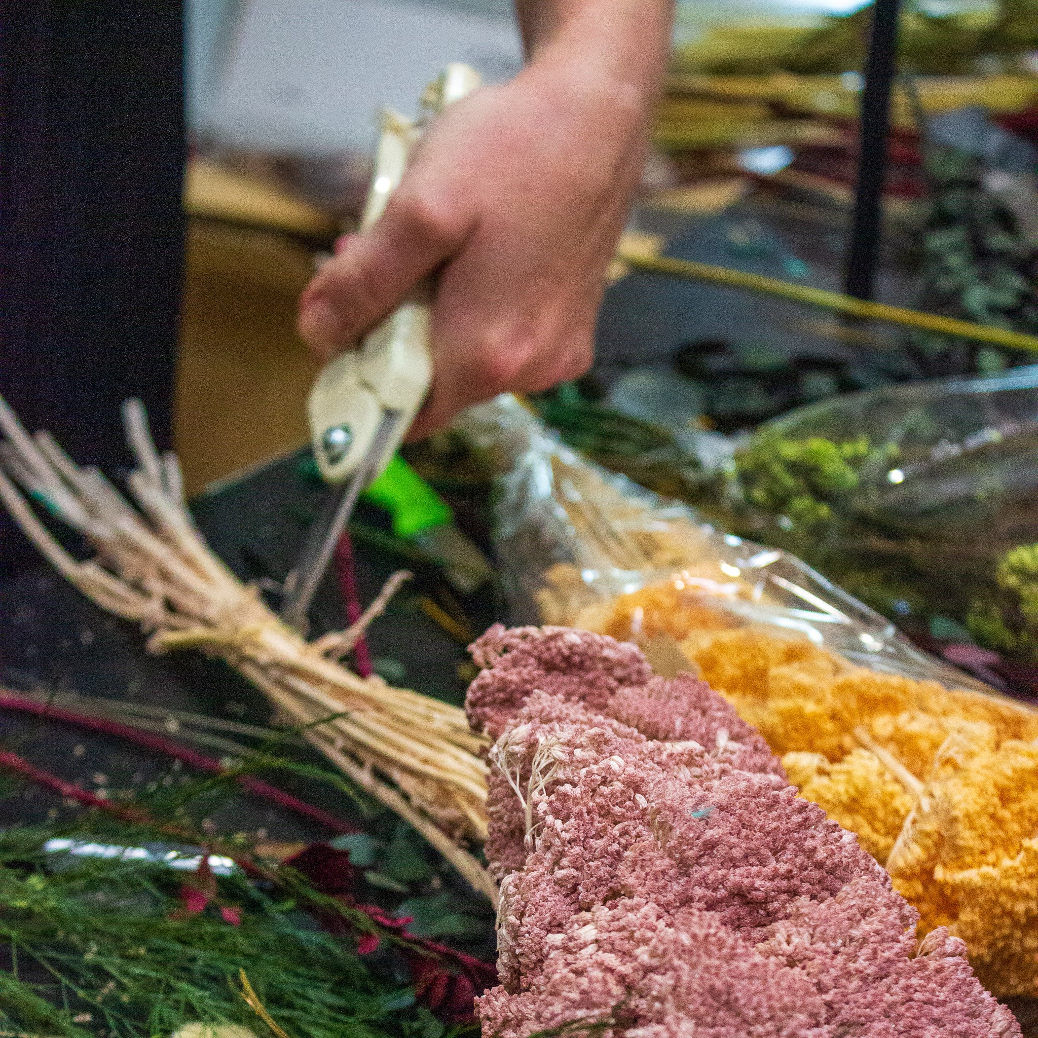 På et arbejdsbord ligger flere bundter af langtidsholdbare blomster, mens en florist klipper snoren op med en blomstersaks.